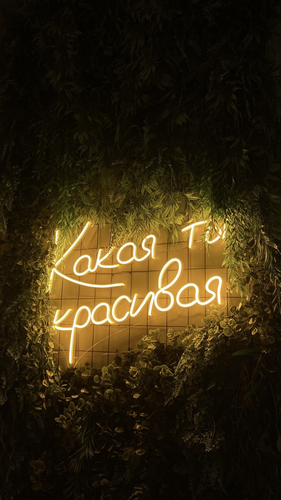 Изображение 4/4